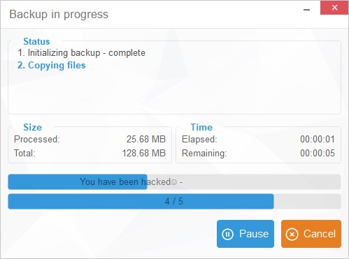 Backup in Progress