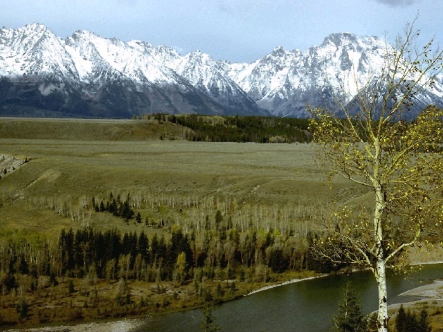 snowy mountains