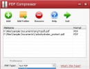 PDF File Type
