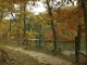 Autumn Breeze Screensaver