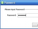 Password Input