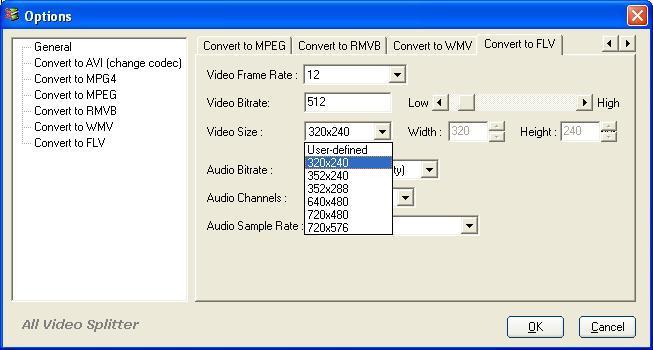 Output format settings