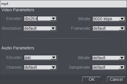 Video Parameters