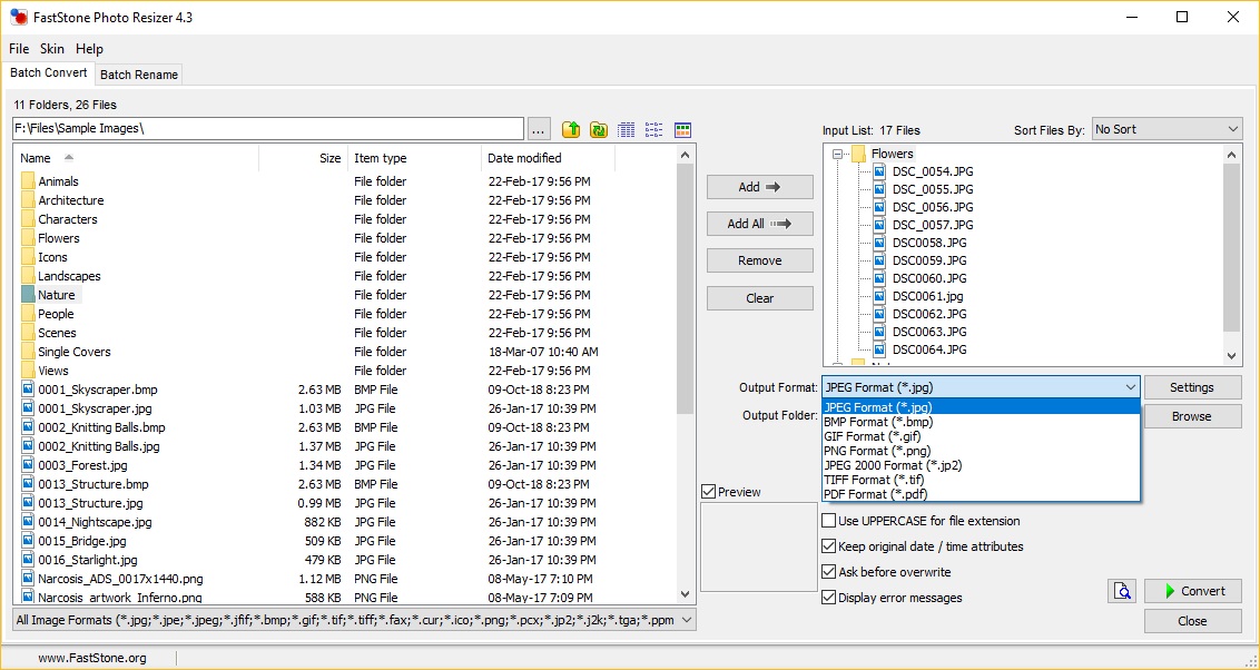 Output Format Selection