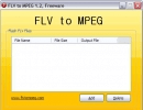 MPEG formats