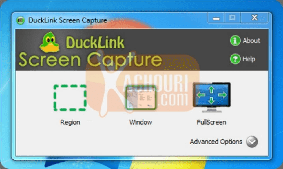 DuckLink Screen Capture