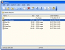 Combined File and Archive Window