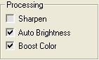 Processing Options