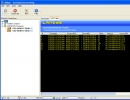 Main Window - Lan Traffic Tab