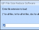 File Extension Input Window