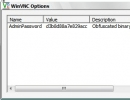 Winvnc options