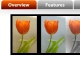 PhotoPresets Wow Effects for Lightroom