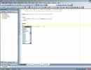 Main Window - Editor