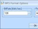 MP3 Format Options